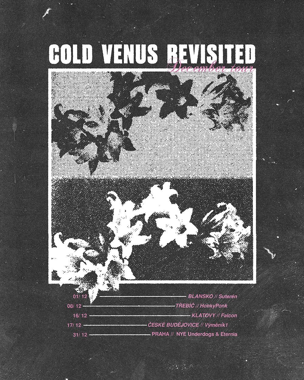 Cold Venus Revisited December tour poster