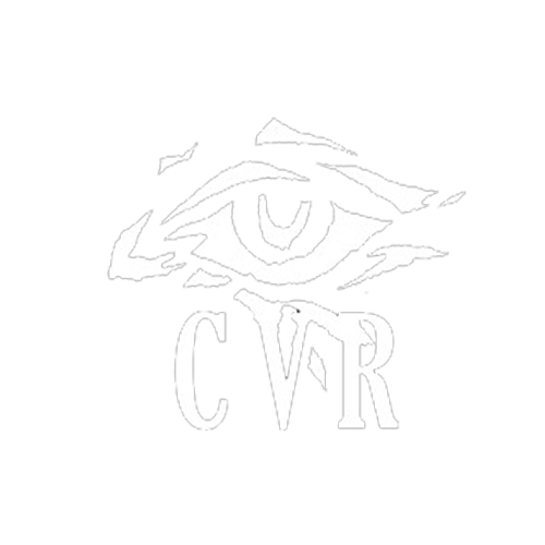CVR eye logo mark