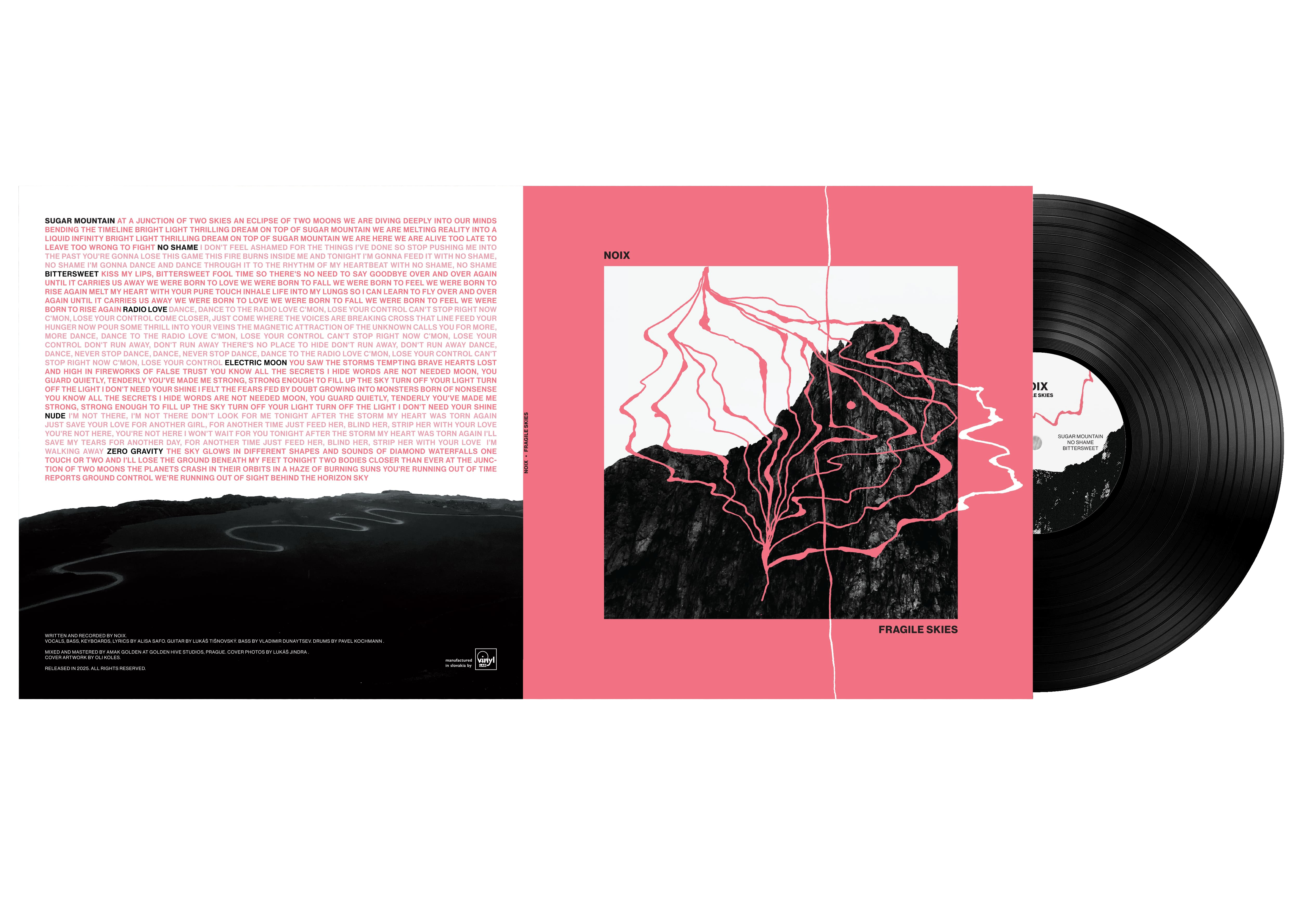 NOIX vinyl record back cover — hand-drawn lyrics table design