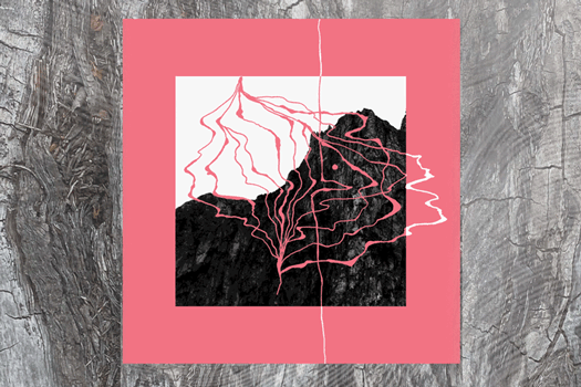 NOIX Record Cover