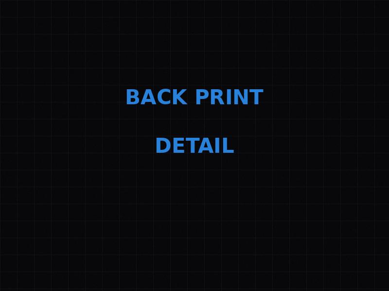 RISIKO × DECODER Merchandise — image 2